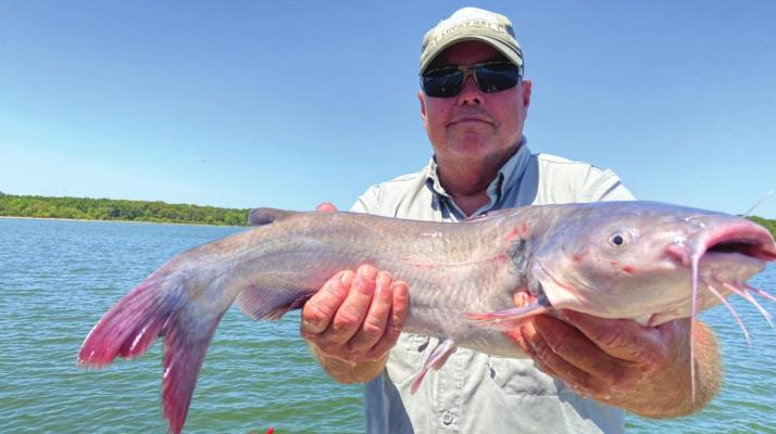 Drift fishing for blue catfish is going strong at Lake Tawakoni and other lakes. Winter is prime time for catching big blues but now is prime time for numbers of eater blues with the very real chance of a trophy class fish. Photo by Luke Clayton